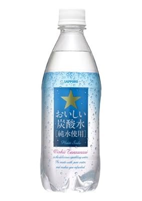 サッポロ おいしい炭酸水 500ml×24本
