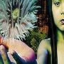 Lifeforms