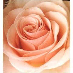 BEST FLOWER -B SIDE COLLECTION-