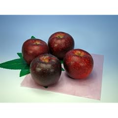 B0040ZJN6I