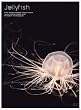 Jellyfish �q�[�����O�A�[�g �N���Q [DVD]