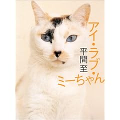 �A�C�E���u�E�~�[�����