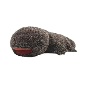 �I�[�T��II 65cm