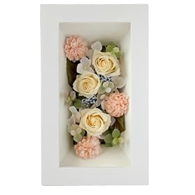 �o���̃A�[�g�t���[���E�����O�i���t���[��/�z���C�g�j
