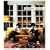 �A�J�c�L�̎� (��������)(DVD�t)