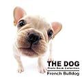 THE DOG Photo Book Collection French Bulldog (THE DOG Photo Book Collection)