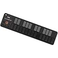 KORG �R���O 25�� USB-MIDI �L�[�{�[�h NANOKEY2