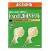 �悭�킩��Microsoft Office Excel 2003�h���� (�悭�킩��g���[�j���O�e�L�X�g)