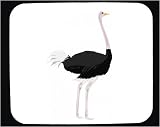  Mauspad mit Dekoration - Various Cliparts