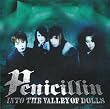 INTO THE VALLEY OF DOLLS