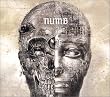 NUMB