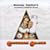 A Clockwork Orange: Wendy Carlos's Complete Original Score
