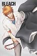 BLEACH �o�E���g�� 1 (���S���Y�����) [DVD]