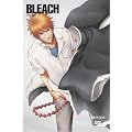 BLEACH �o�E���g�� 1 (���S���Y�����) [DVD]