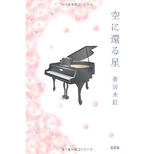 【クリックで詳細表示】空に還る星 [単行本(ソフトカバー)]