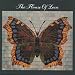 The House of Love (Butterfly)