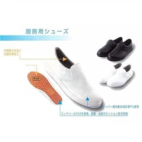 �����ӂ��@�~�[�p�V���[�Y�@J-�L�b�`���@���@22.5cm�@No.951