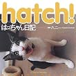 hatch!�͂��������L