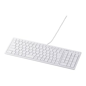 USB��³ ͭ������७���ܡ��� �ʥۥ磻�ȡˡ�BSKBU08WH