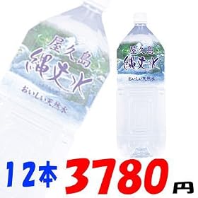 ���v���ꕶ�� 2L 12�{