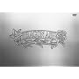 The Best of Dragon Ash with Changes DVD