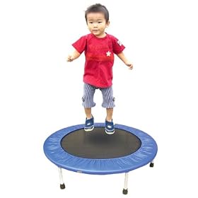 �q���p�g�����|���� �g�����|�����^�� �̗͍�� �ƒ�p �q�ǂ��p�z�[���W�����s���O�iT-1-2�j