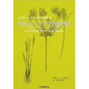 Amazon.co.jp: 岡山県カヤツリグサ科植物図譜 (岡山県カヤツリグサ科 ...