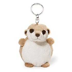 NICI �t�@�b�g�t�����Y�@�~�[�A�@10cm