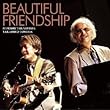 Beautiful Friendship