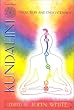 Kundalini, Evolution, and Enlightenment (Omega Book)