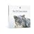 Mac OS X 10.6 Snow Leopard