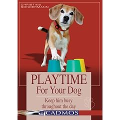 Playtime for Your Dog: Keep Him Busy Throughout the Day