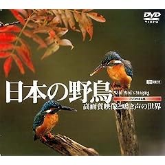 ���{�̖쒹/���掿�f���Ɩ����̐��E [DVD]