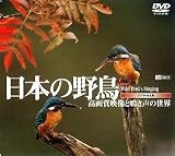 ���{�̖쒹/���掿�f���Ɩ����̐��E [DVD]