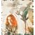 The Beekeeper + Bonus DVD