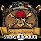 �ʏ�ՁuVOICE MAGICIAN II~SOUND of the CARIBBEAN~�v