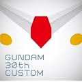 GUNDAM 30th CUSTOM