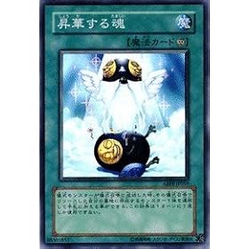 �V�Y���V���O���J�[�h ���؂��鍰 �m�[�}�� abpf-jp059