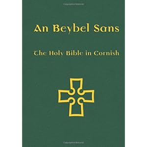 【クリックで詳細表示】Beybel Sans-FL： Michael Everson， Nicholas Williams： 洋書