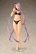 Fate/hollow ataraxia ���C�_�[ ����Ver. (1/6�X�P�[��PVC�h���ς݊����i)