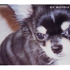 FLY