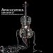Amplified: A Decade of Reinventing the Cello