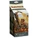 D&D Miniatures Colecton!