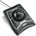 �P���W���g�� �y���K�i�E5�N�ۏؕt��! �z ExpertMouse(OpticalBlack)(USB/PS2) 64325