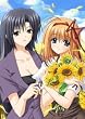 SHUFFLE ! episode.9 (�ʏ��) [DVD]
