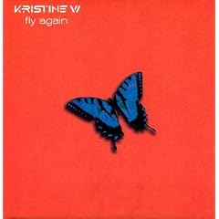 Fly Again [12 inch Analog]