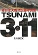 TSUNAMI3�E11: �����{��k�ЋL�^�ʐ^�W