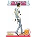 Bleach, Vol. 21 (Bleach (Graphic Novels))