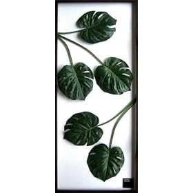 F-style ���[�t�p�l���E570x1375x30mm�@Monstera deliciosa