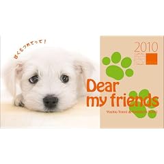 2010�u�q��/Dear my friends�v���